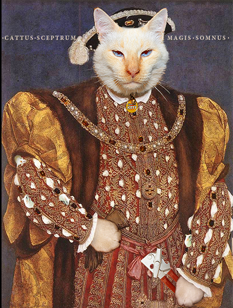The King & His Coat of Many Mice