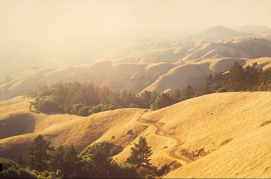 View From Mt. Barnabe (Marin County)