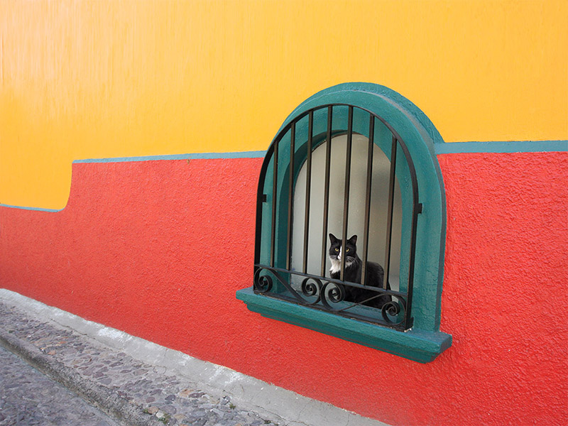 Behind Color Bars (Ajijic, Mexico)