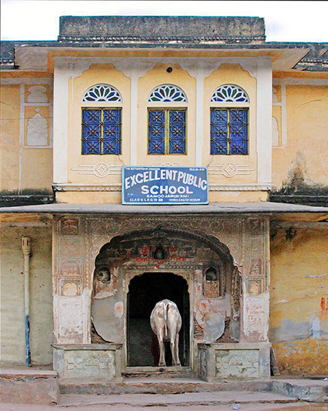 Excellent School (Jaipur, India)